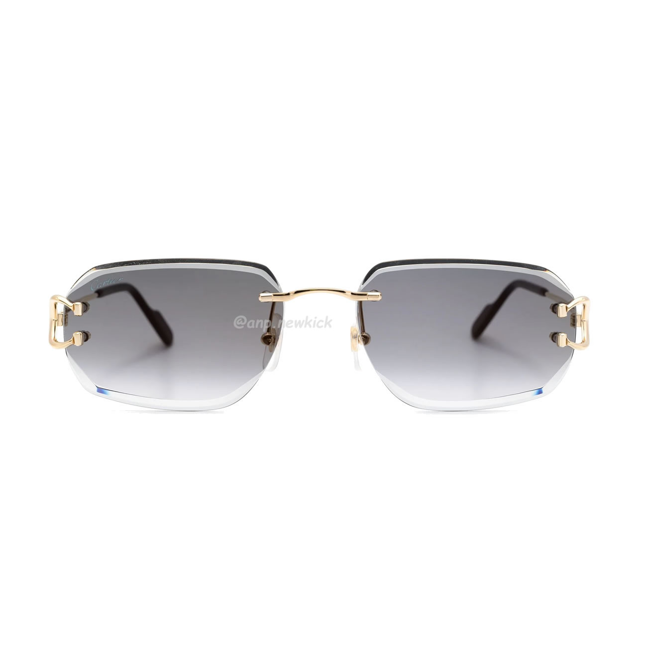 Cartier Eyewear Rimless Rectangle Frame Sunglasses (6) - newkick.cc